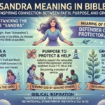 Sandra Meaning in Bible