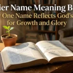 Xavier's Biblical Meaning